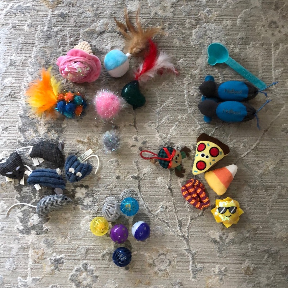 CAT TOYS AND LEASHES/COLLAR